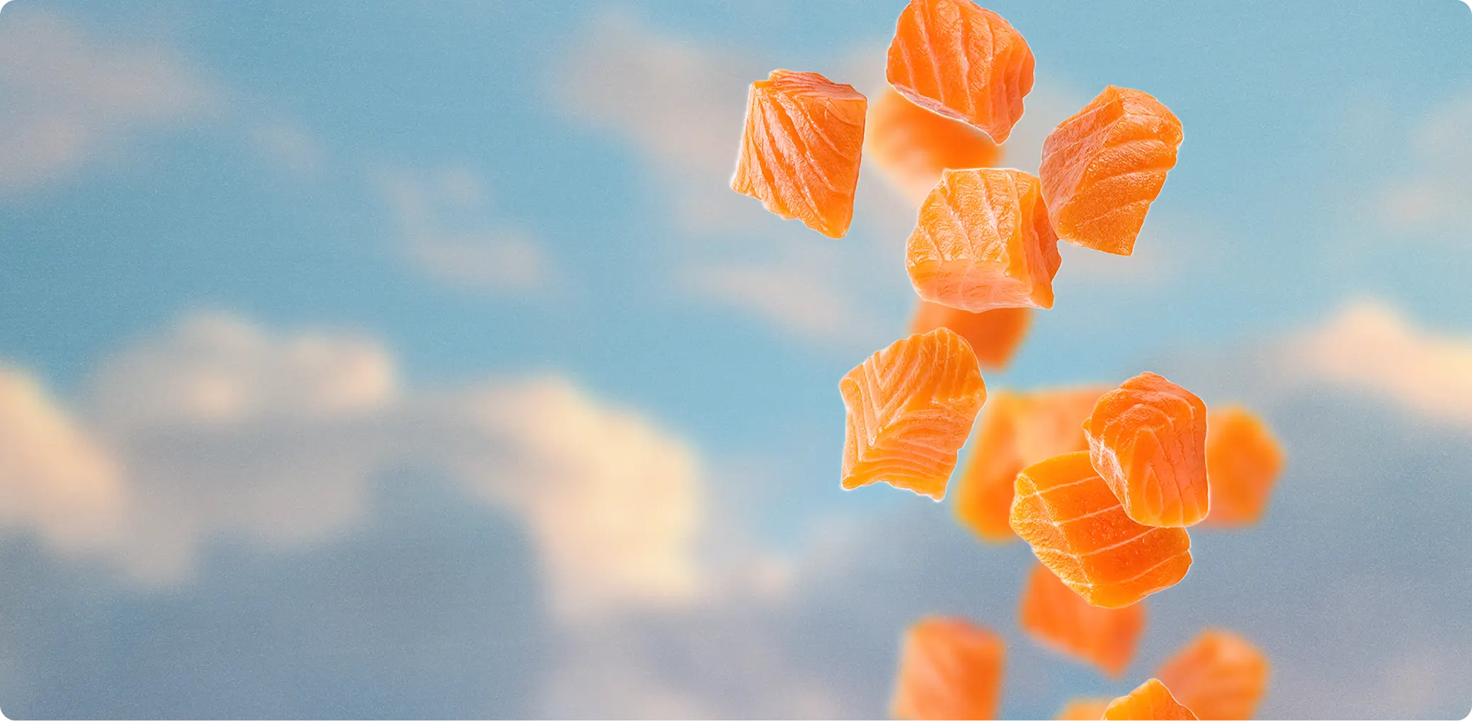 Salmon cubes floating against a cloudy sky background.
